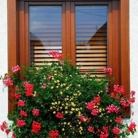 Country house Apartmanovy Dom Slniecko